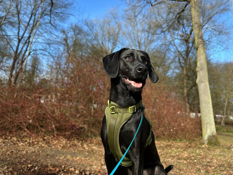 Juni - lebensfroh&aktiv