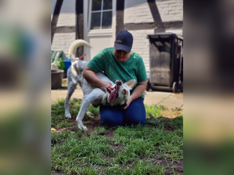 Luke- ein Kämpfer auf drei Beinen