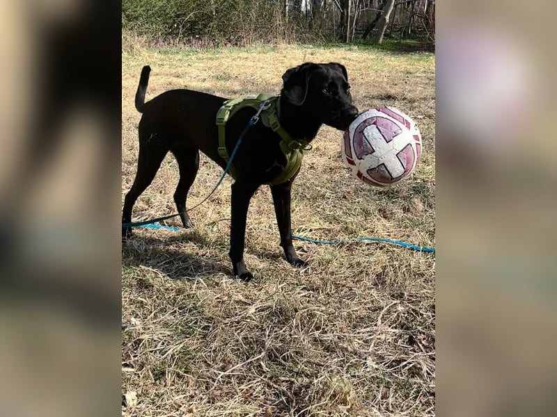 Juni - lebensfroh&aktiv