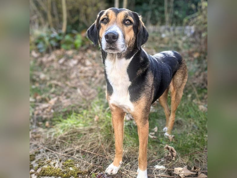 Wanja - lernwillig, aber unsicher