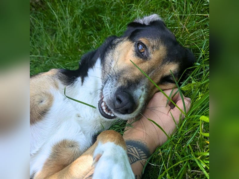 Wanja - lernwillig, aber unsicher