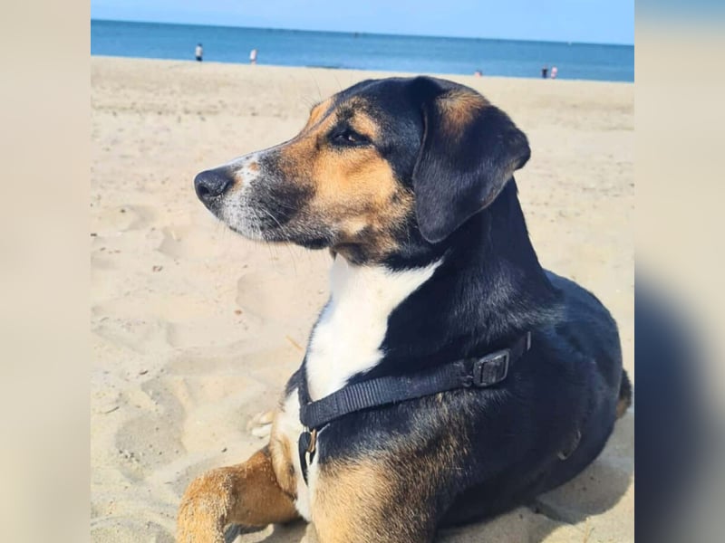 Wanja - lernwillig, aber unsicher