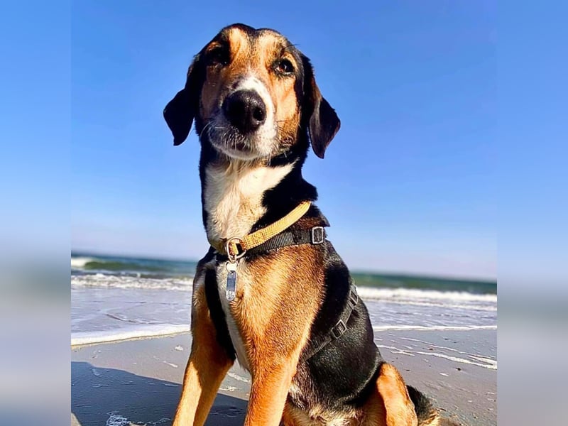 Wanja - lernwillig, aber unsicher