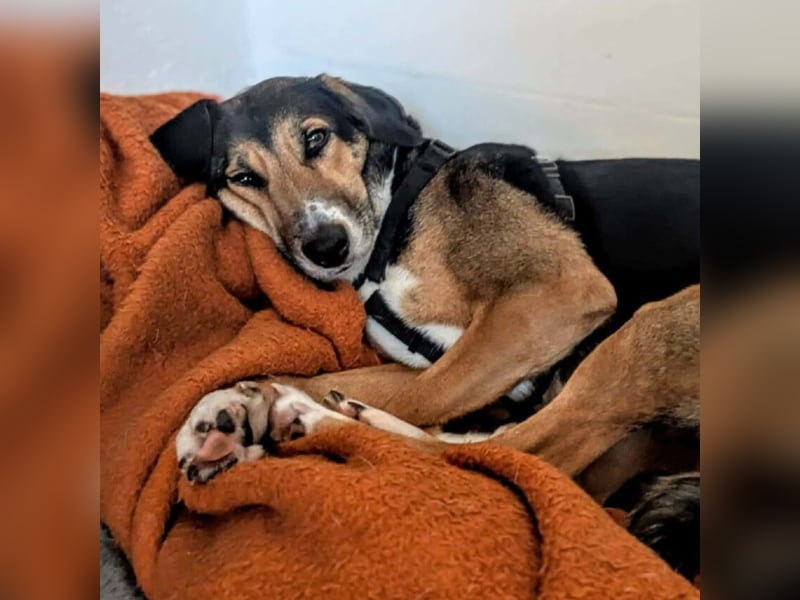 Wanja - lernwillig, aber unsicher