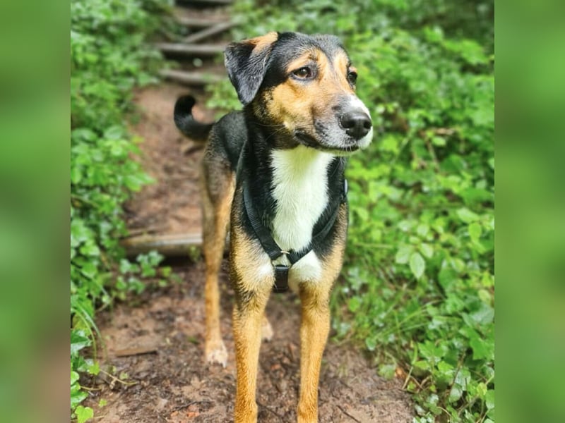 Wanja - lernwillig, aber unsicher