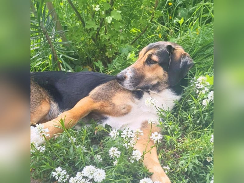 Wanja - lernwillig, aber unsicher