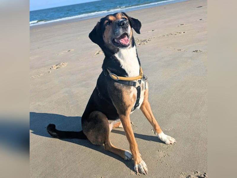 Wanja - lernwillig, aber unsicher