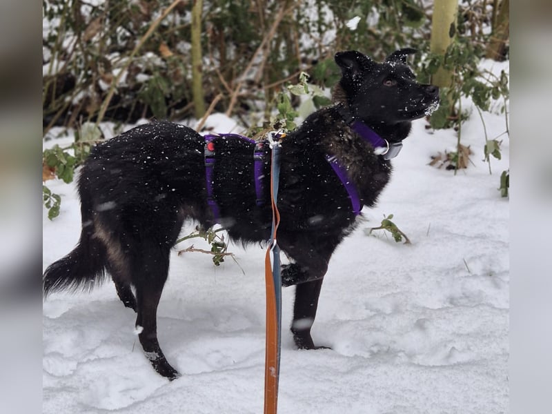 Whoopi - hat ein großes Herz