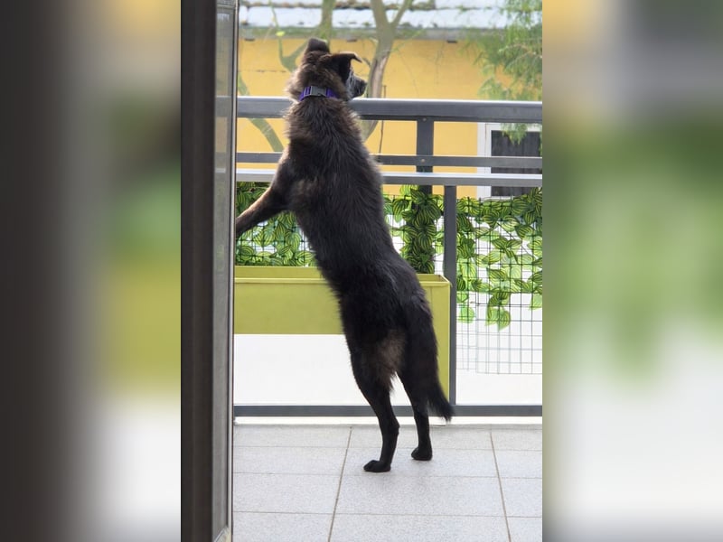 Whoopi - hat ein großes Herz