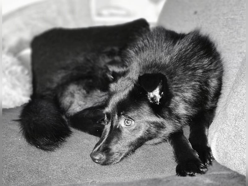 Whoopi - hat ein großes Herz