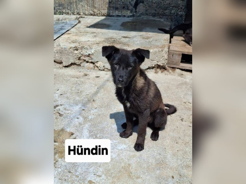 Whoopi - hat ein großes Herz