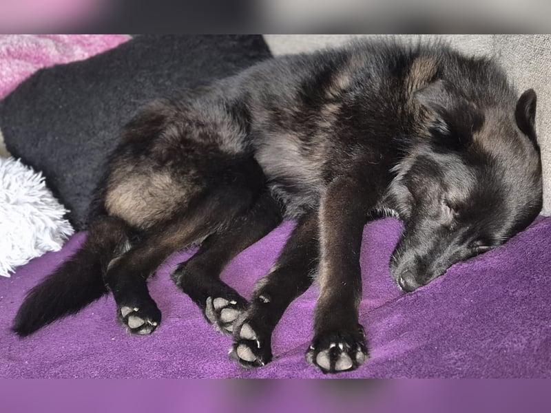 Whoopi - hat ein großes Herz