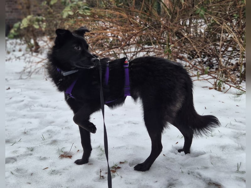 Whoopi - hat ein großes Herz