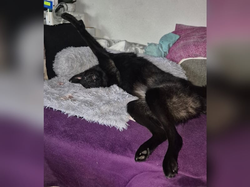 Whoopi - hat ein großes Herz