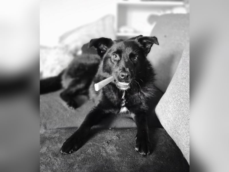 Whoopi - hat ein großes Herz