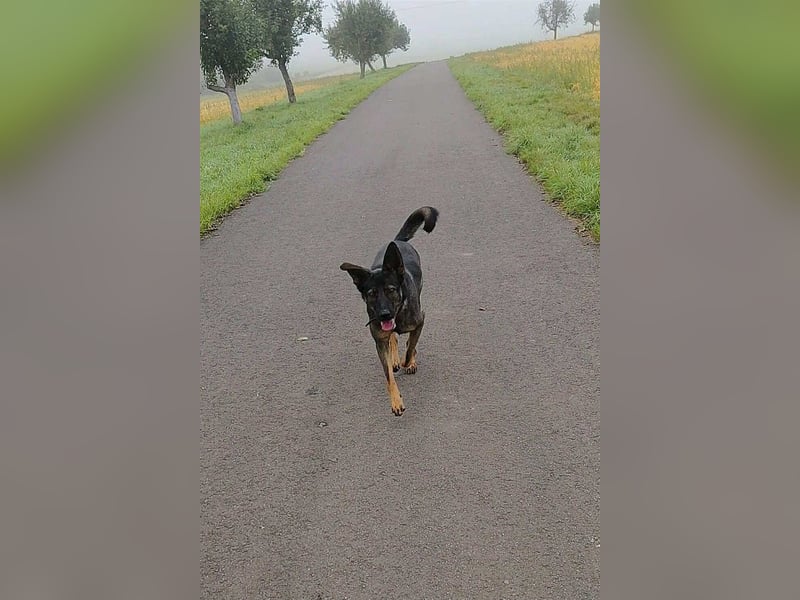 Hope - die fröhliche