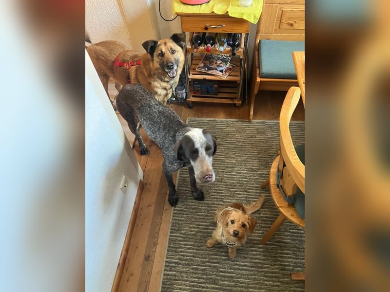 Karma - mit einem umwerfenden Lächeln