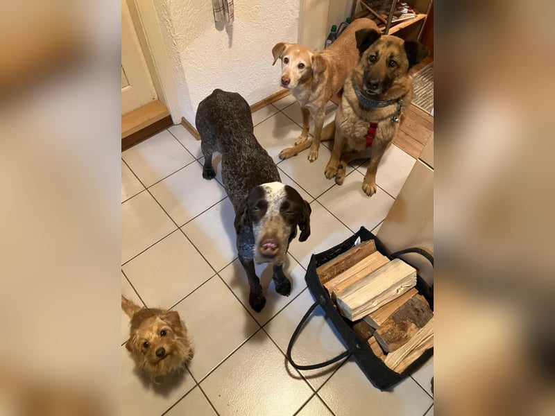 Karma - mit einem umwerfenden Lächeln