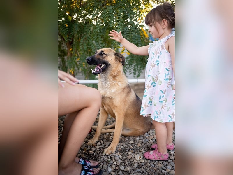 Karma - mit einem umwerfenden Lächeln