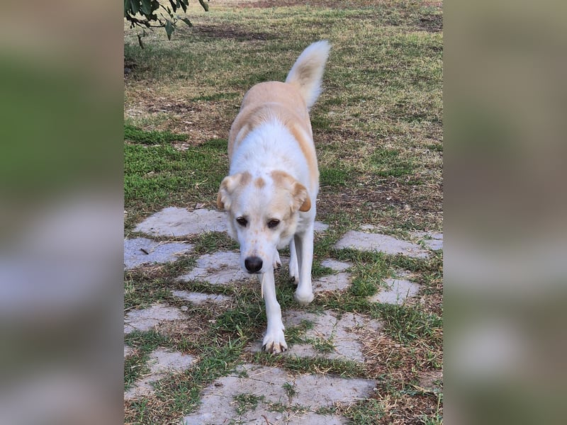 Phil - möchte die Welt mit seiner Familie entdecken