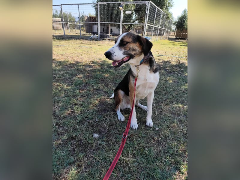 Mailo - auf Körbchensuche