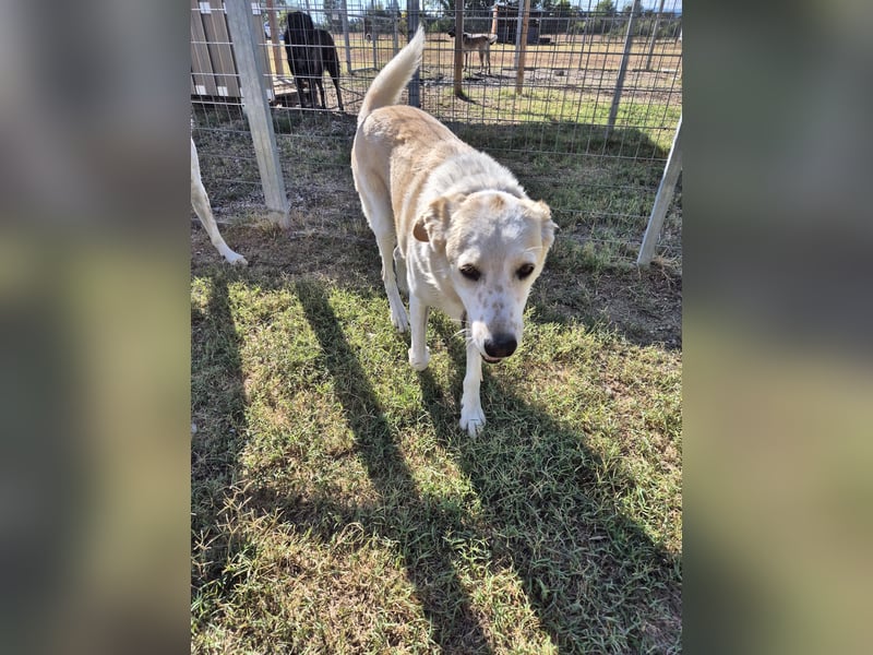 Phil - möchte die Welt mit seiner Familie entdecken