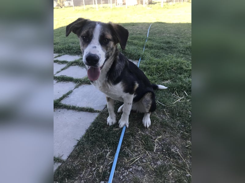 Mailo - auf Körbchensuche