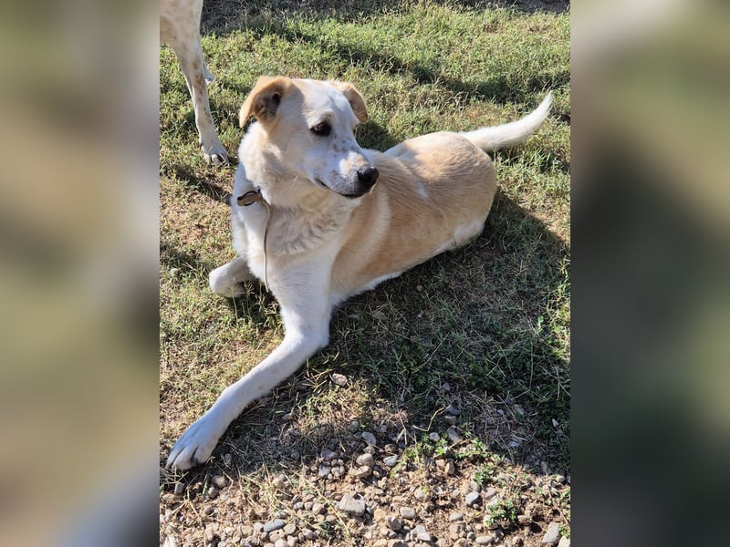 Phil - möchte die Welt mit seiner Familie entdecken