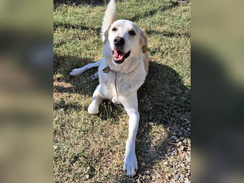 Phil - möchte die Welt mit seiner Familie entdecken