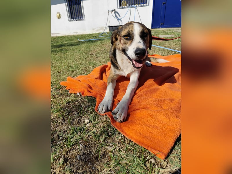 Mailo - auf Körbchensuche