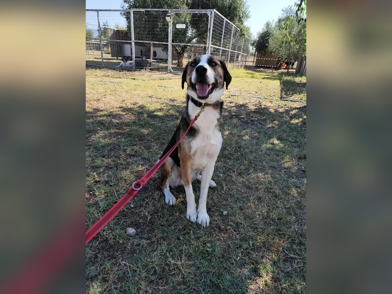 Mailo - auf Körbchensuche