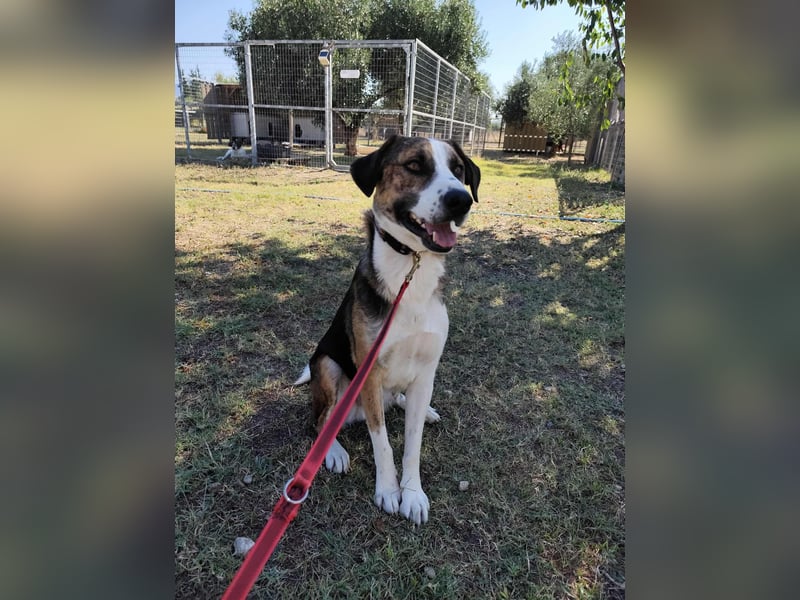 Mailo - auf Körbchensuche