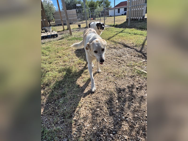 Phil - möchte die Welt mit seiner Familie entdecken