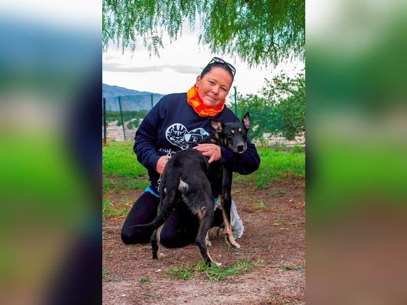 ❤️ SONORA ❤️