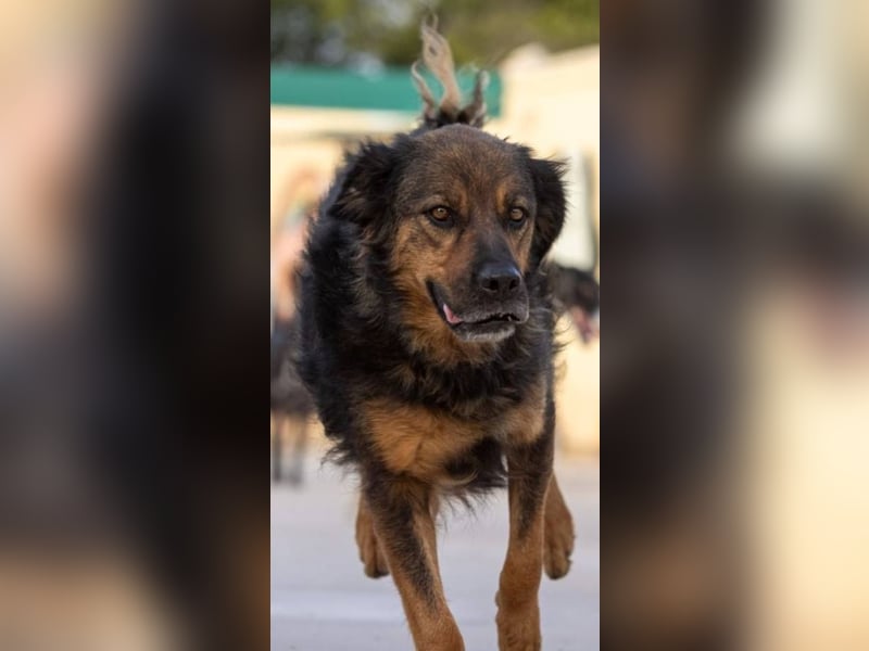 ❤️ DUQUESA ❤️