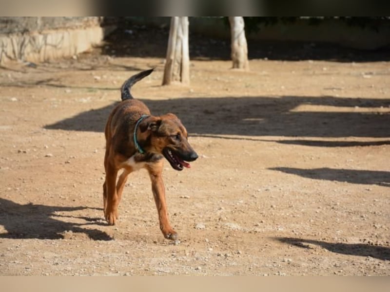 ❤️ CAPITANA ❤️