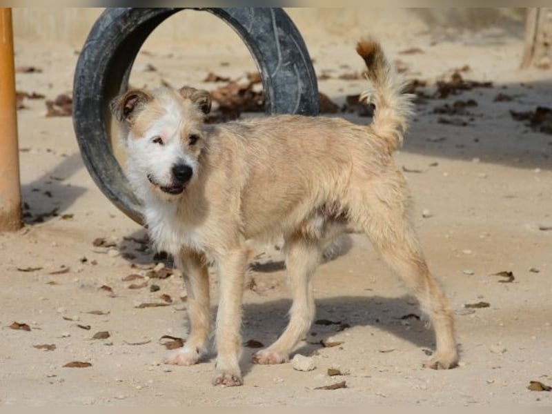 ❤️ CORCHO ❤️