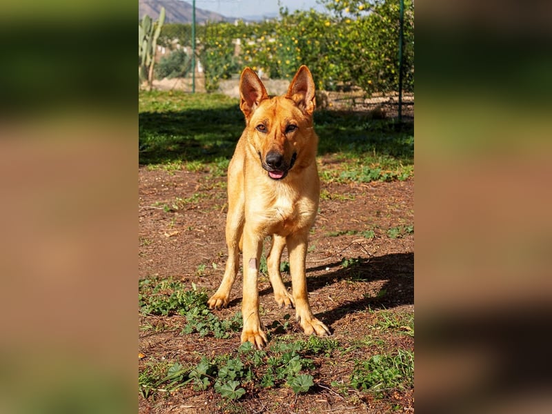 ❤️ AQUILES ❤️