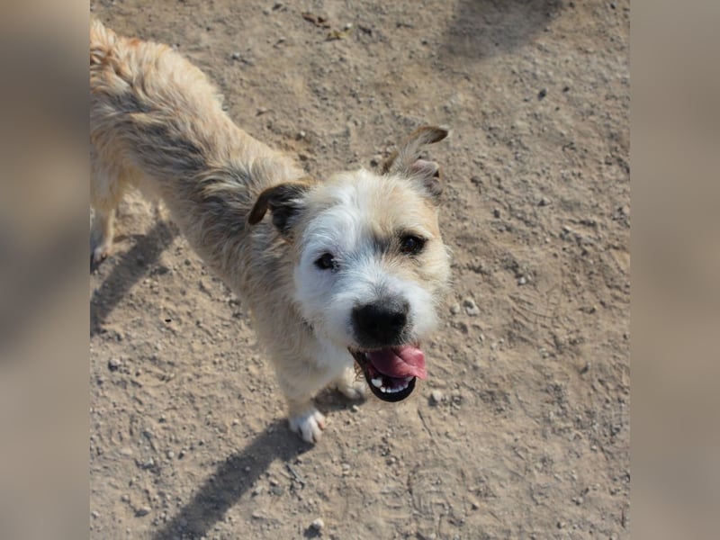 ❤️ CORCHO ❤️