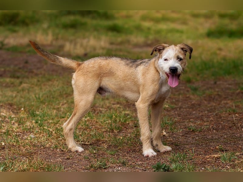 ❤️ CORCHO ❤️