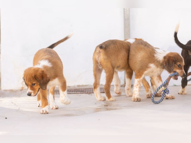 ❤️BRUNO❤️
