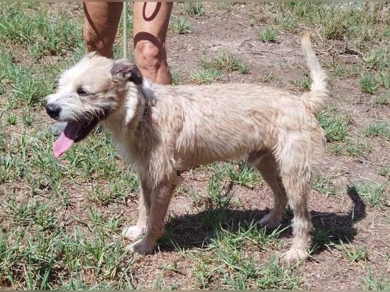 ❤️ CORCHO ❤️