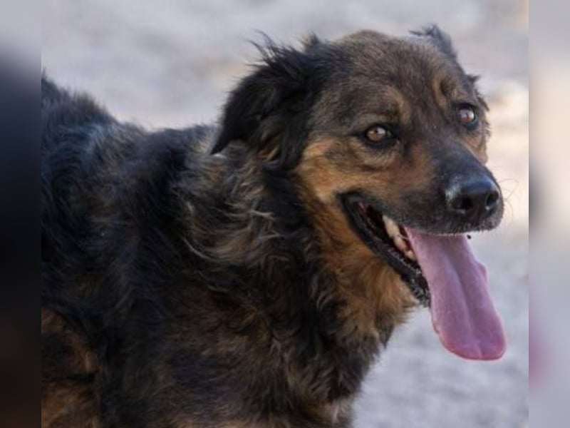 ❤️ DUQUESA ❤️