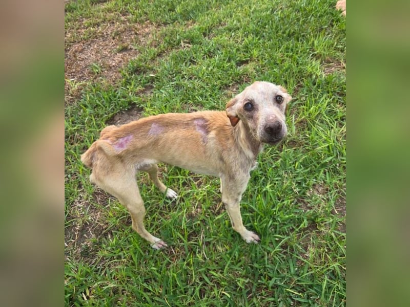 ❤️RA❤️    ❗NOTFALL❗