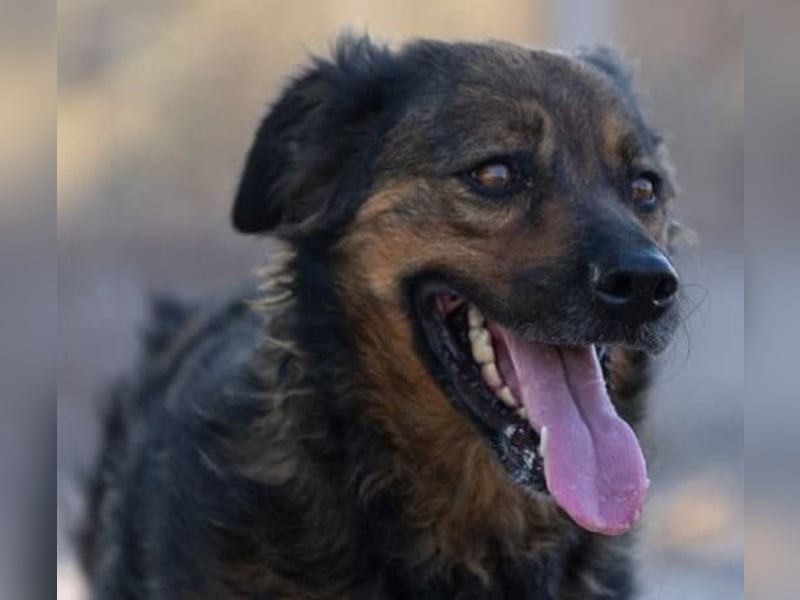 ❤️ DUQUESA ❤️