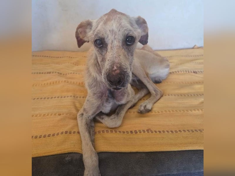 ❤️RA❤️    ❗NOTFALL❗