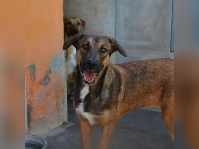 ❤️ CAPITANA ❤️