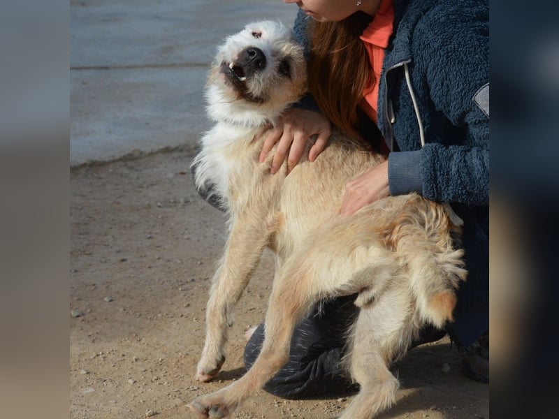 ❤️ CORCHO ❤️