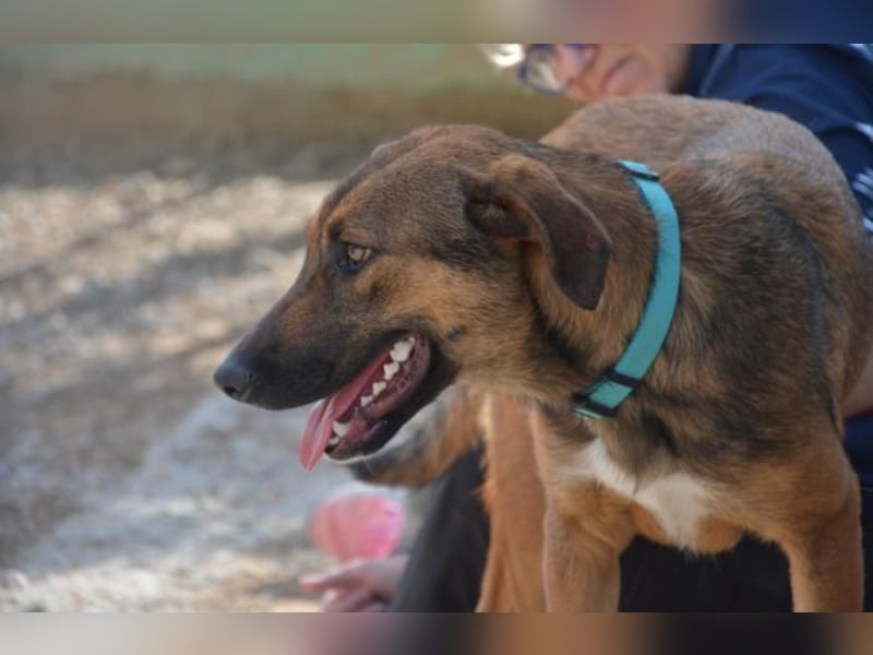 ❤️ CAPITANA ❤️