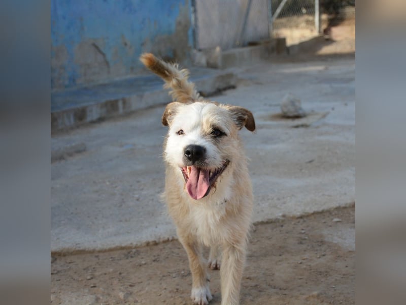 ❤️ CORCHO ❤️